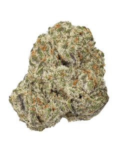 Pump Action Flower
