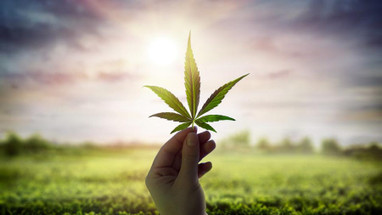 7 Desired Cannabis Effects 7 Desired Cannabis Effects
