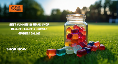 Best Gummies in Miami: Shop Mellow Fellow & Cookies Gummies Online