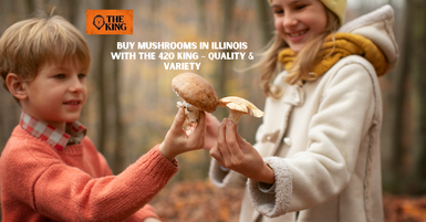 Buy Mushrooms in Illinois with The 420 King – Quality & Variety Buy Mushrooms in Illinois with The 420 King – Quality & Variety
