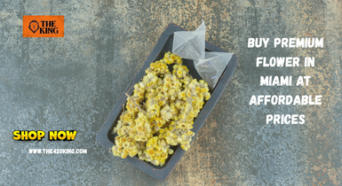 Buy Premium Flower in Miami at Affordable Prices – The 420 King