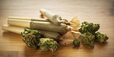 Exploring the Diverse World of Premium Pre Rolls Exploring the Diverse World of Premium Pre Rolls