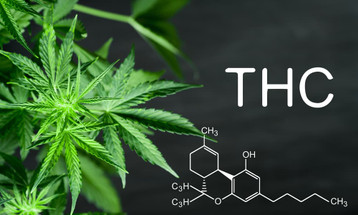 How to choose which THC to try? How to choose which THC to try?