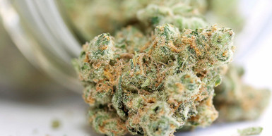 How to use THC Flowers? How to use THC Flowers?