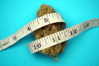 THCv: The Energizing and Appetite-Suppressing Cannabinoid THCv: The Energizing and Appetite-Suppressing Cannabinoid