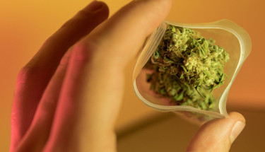 THC-P Exploring the Latest Cannabinoid Discovery THC-P Exploring the Latest Cannabinoid Discovery