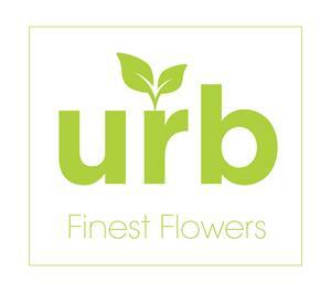 urb-lifted-made-brand-logo.jpeg