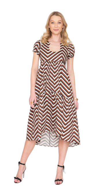 Horseshoe Dress Chevron 