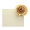 Paper Accents Stash Pack Cardstock 8.5 inch x 11 inch Ivory 50pc
