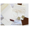 Paper Accents Envelopes Cardmakers Choice 4.38 inch x 5.75 inch 80lb Cream 25pc