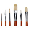 Protege Brush Variety Pack Long Handle 6pc