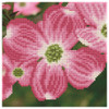 Diamond Art Kit Beginner 8 inch x 8 inch Dogwood