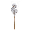 Hampton Art Cotton Short Stem