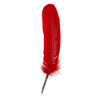 Manuscript Dip Pen Quill Red