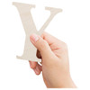 Good Wood By Leisure Arts Letters 9.5 inch Birch Y