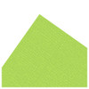 Paper Accents Glimmer Cardstock 12 inch x 12 inch 80lb 25pc Sparkling Apple