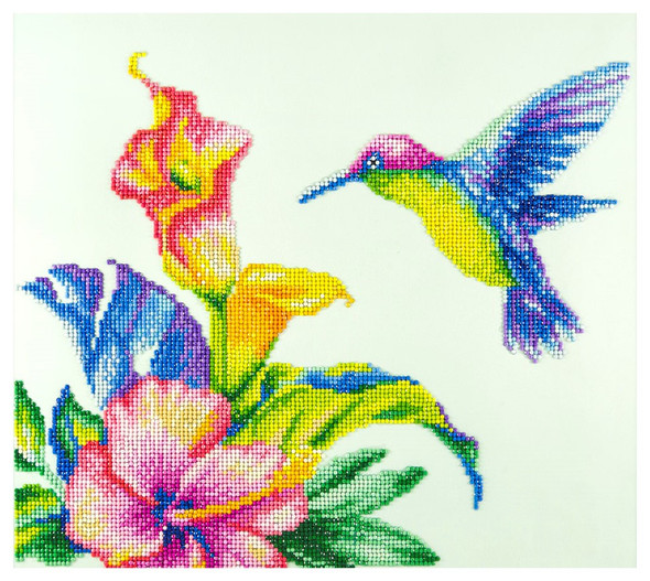Diamond Art Kit Advanced 16 inch x 14 inch Hummingbird