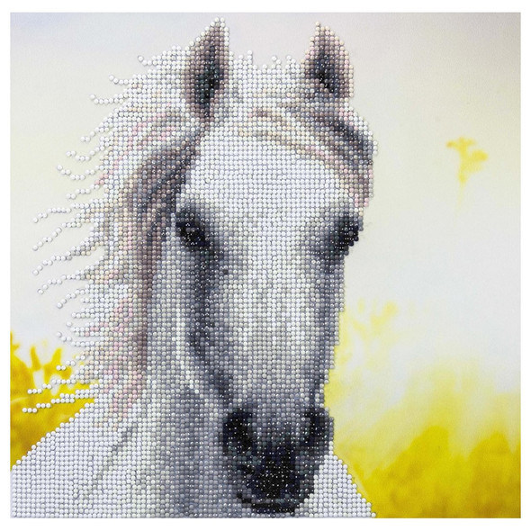 Diamond Art Kit Intermediate 12 inch x 12 inch White Horse