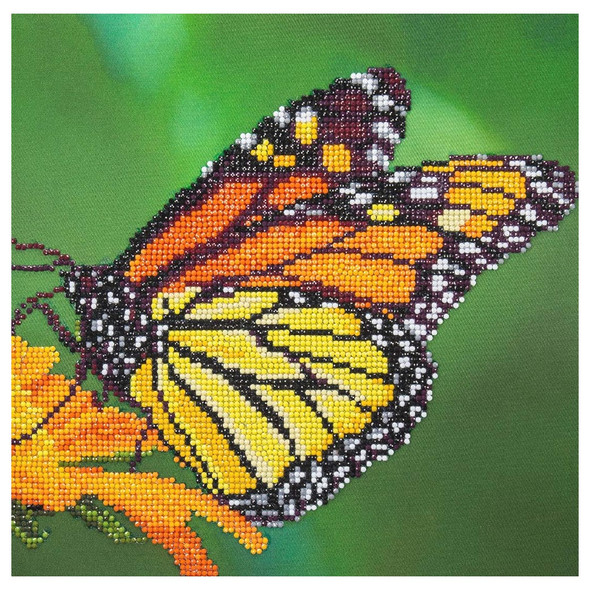 Diamond Art Kit Intermediate 12 inch x 12 inch Monarch Butterfly