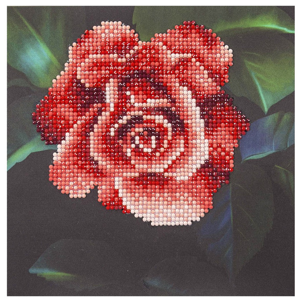 Diamond Art Kit Beginner 8 inch x 8 inch Red Rose