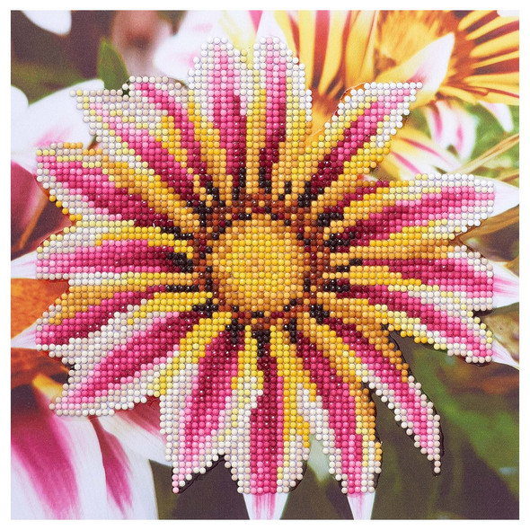 Diamond Art Kit Beginner 8x8 inch Star Daisy