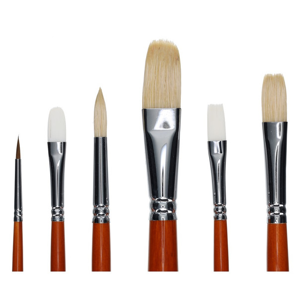 Protege Brush Variety Pack Long Handle 6pc