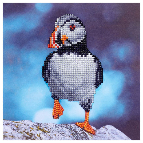 Diamond Art Kit Beginner 8x8 inch Puffin