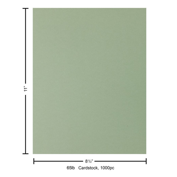 Paper Accents Cardstock 8.5 inch x 11 inch Stash Builder 65lb Sage Green 1000pc Box