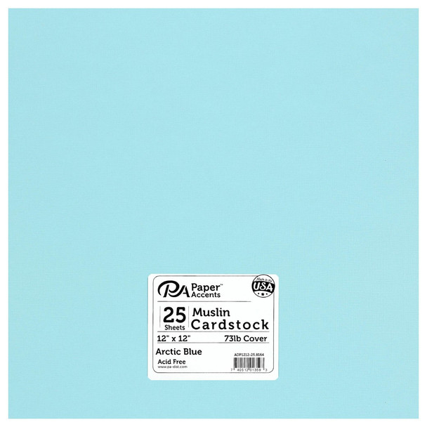 Paper Accents Cardstock 12 inch x 12 inch Muslin 73lb Arctic Blue 25pc