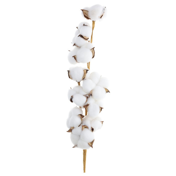 Hampton Art Cotton Stem