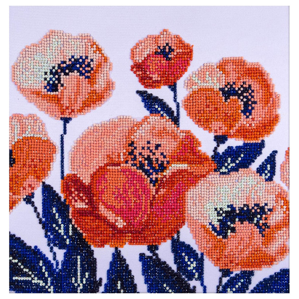 Diamond Art Kit Intermediate 12 inch x 12 inch Poppies