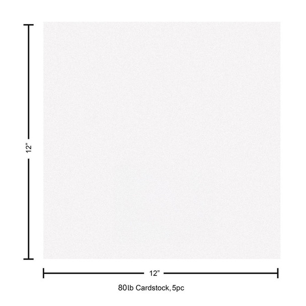 Paper Accents Paper Pearlized 12 inch x 12 inch 80lb Bright White 5pc