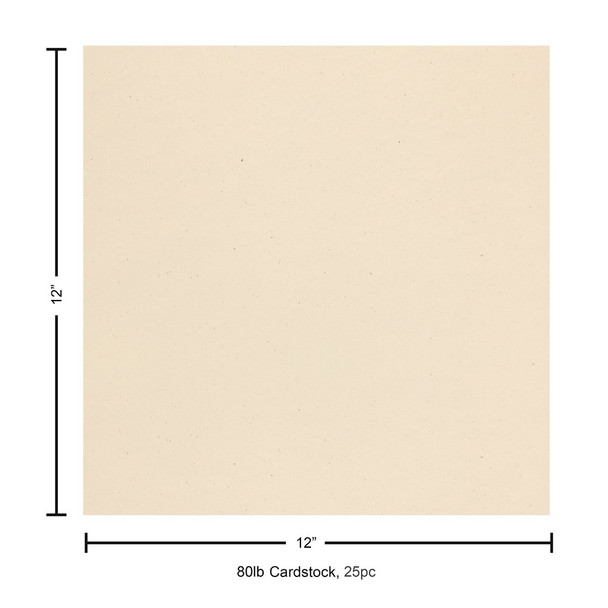 Paper Accents Cardstock 12 inch x 12 inch Recycled 80lb Husk 25pc