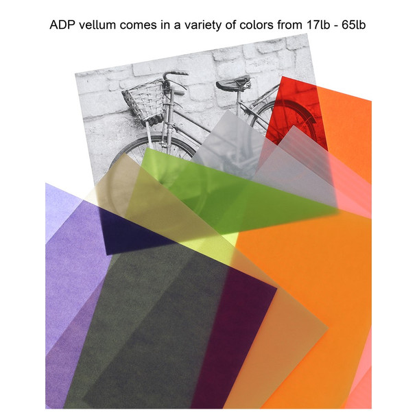 Paper Accents Vellum 8.5 inch x 11 inch 27lb Ivory 25pc