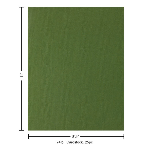 Paper Accents Cardstock 8.5 inch x 11 inch Muslin 74lb Rain Forest 25pc