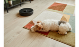 How to Style Rugs in Open-Plan Living Spaces