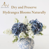 How to Dry and Preserve Hydrangea Flowers