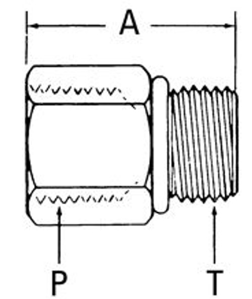 2216-4-4S Aeroquip SAE 45 ORB Adapter(12158)