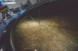 Flavour focus: fermentation