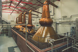 Flavour focus: distillation (part one)  