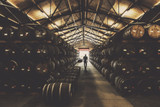 Distillery profile: Westland 