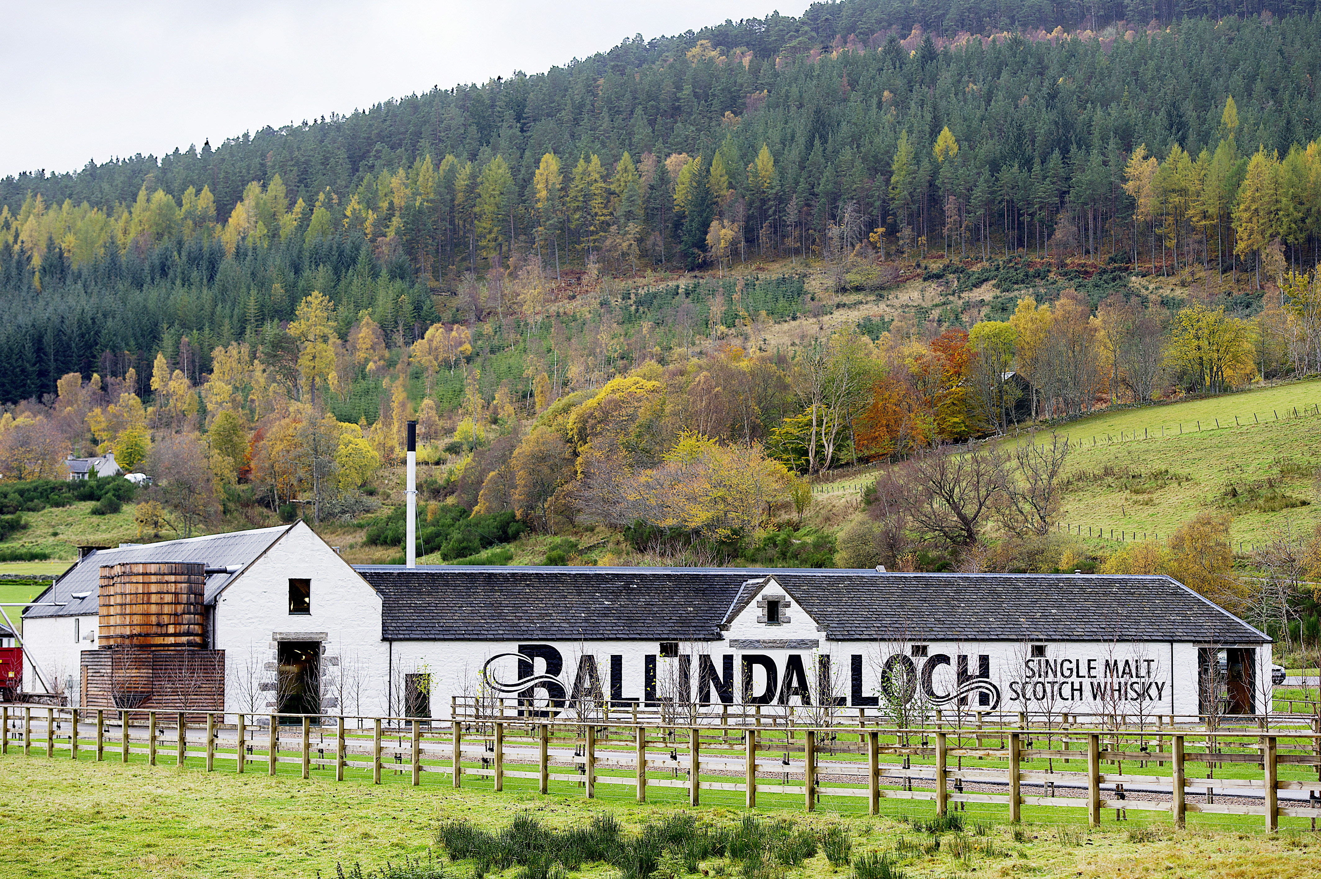 Speyside Single Malt Whisky & Scotch | SMWS