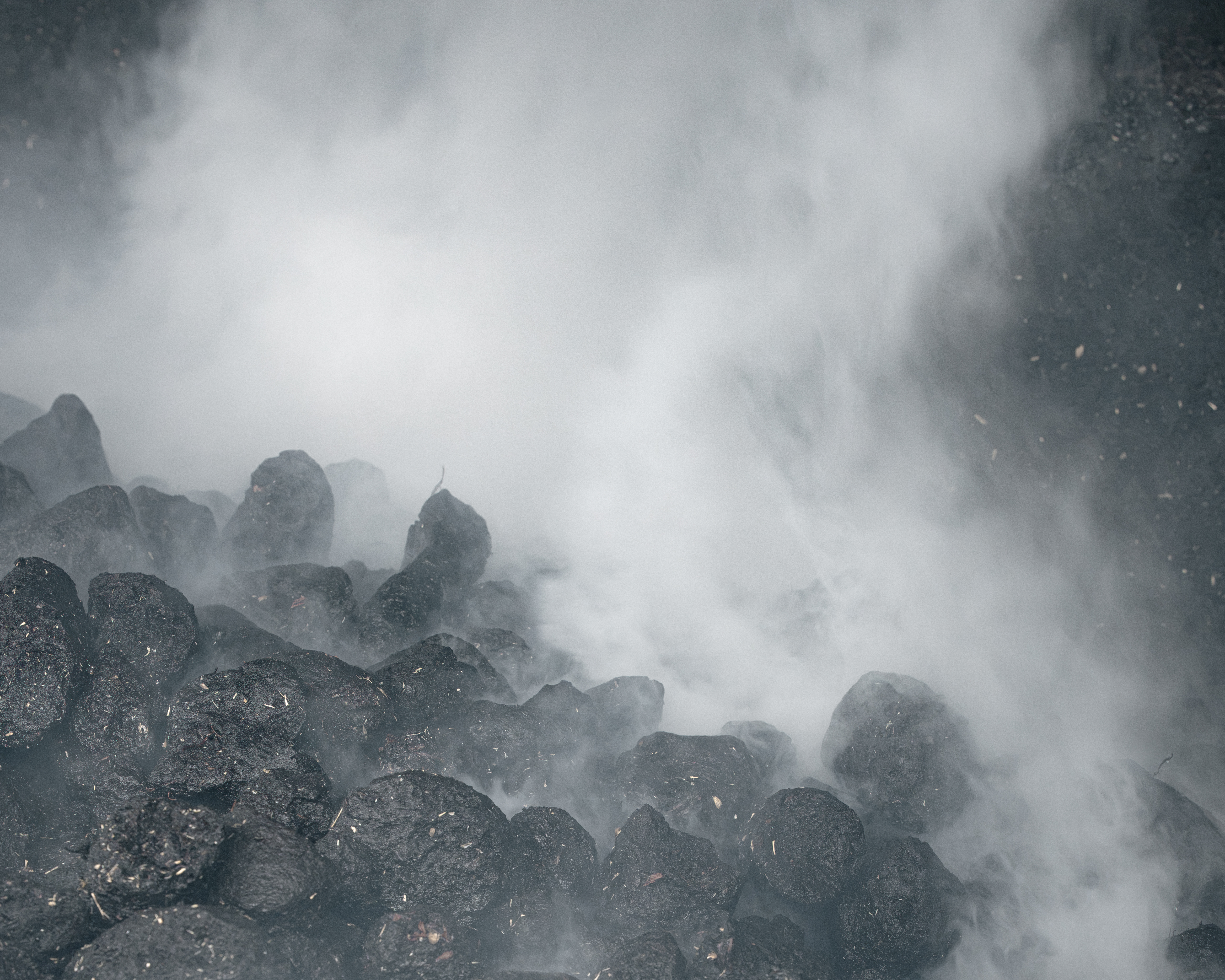Scotch & Smoke: A Flavour Odyssey Part II