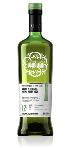 A slap in the face with a welly boot - SMWS 66.205