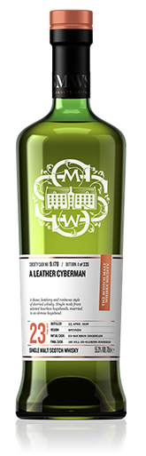 A leather Cyberman - SMWS 9.178