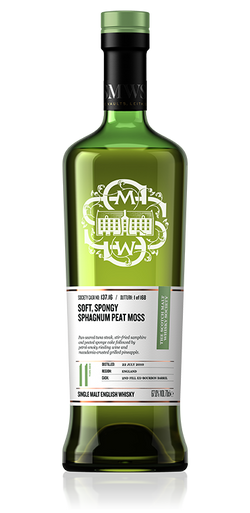 Soft, spongy sphagnum peat moss