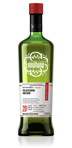 The autumnal vineyard