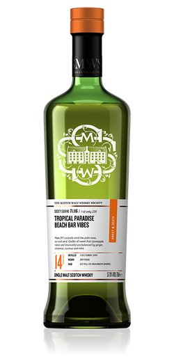 Tropical paradise beach bar vibes