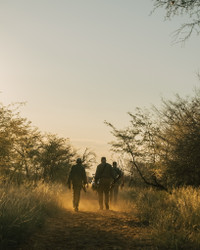On Buffalo Tracks