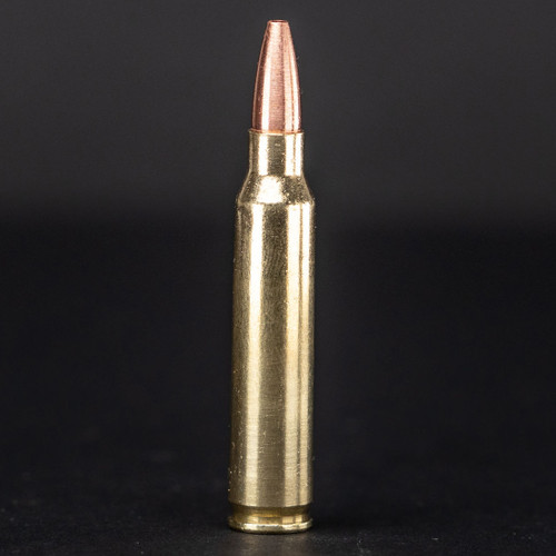 G9 5.56 54gr Barrier Blind Hollow Point G9 5.56 54gr Barrier Blind Hollow Point